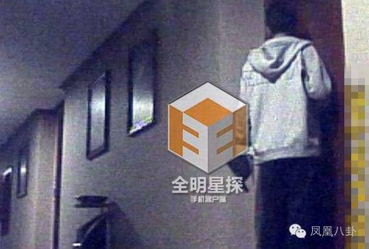 刘恺威王鸥张杰…娱乐圈三大“门神”够你玩一年