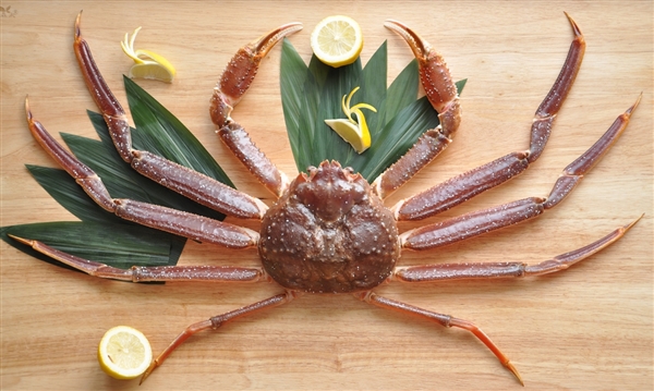 日本一只螃蟹卖出8.5万创纪录：世间极品！