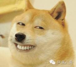 刘恺威王鸥张杰…娱乐圈三大“门神”够你玩一年