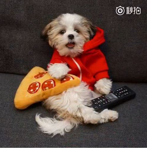  囧图160427:妖精，你不仅抢了我爷爷 还抢了我衣服|39图