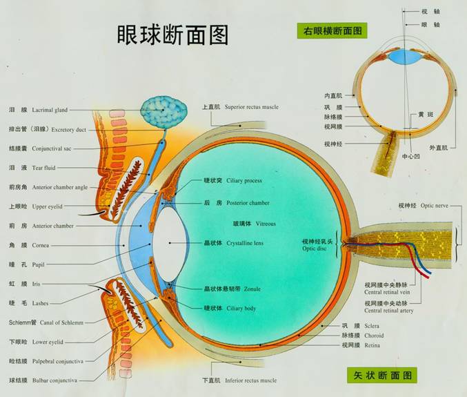 星星月亮看图写句子_写星星的诗句_小星星舞蹈教案怎么写