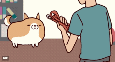 你们一言不合就扔的那只狗终于被我找到了