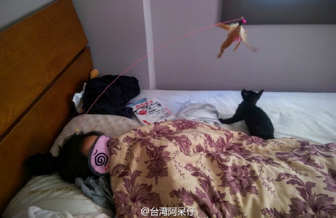  囧图160602:鼻孔大也有鼻孔大的好处，比如…|40图