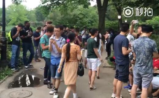 20年前任天堂把人们圈在家里 现在又把人都轰到街上