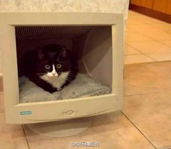  囧图160719:男孩子总是向奇怪的方向进化呢|42图