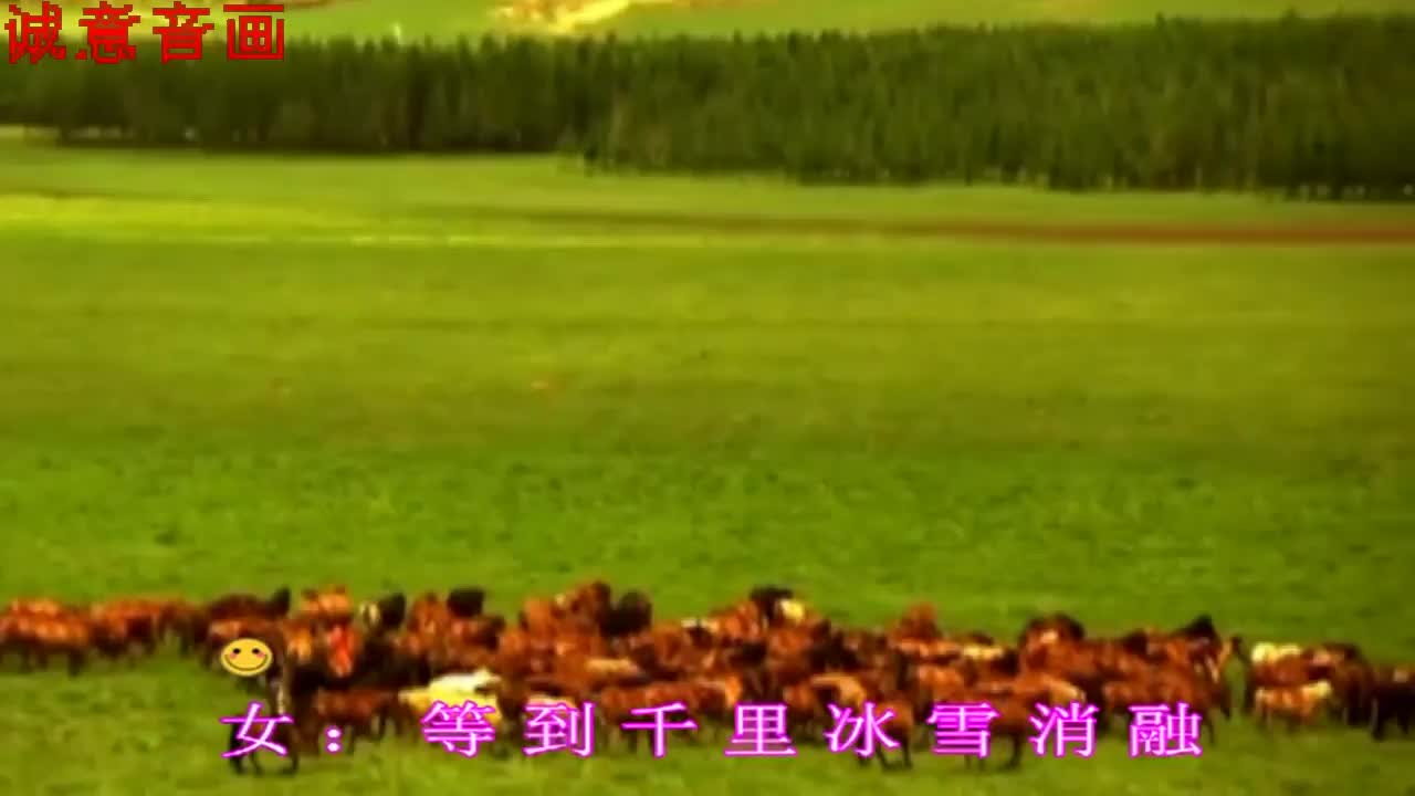 降央卓玛《草原之夜》,听完舒畅无比!