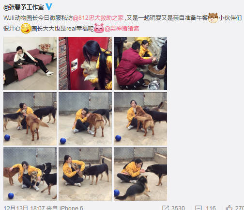 张馨予发了一张自己和狗狗的合照，却被网友骂惨了！