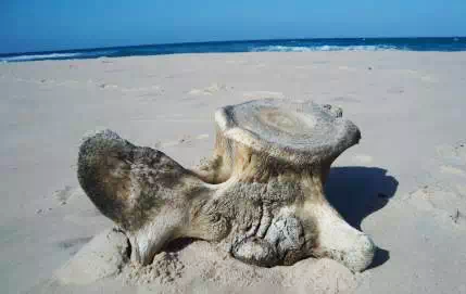 勘探队非洲求生记：中国公司海外找矿的艰辛惊险