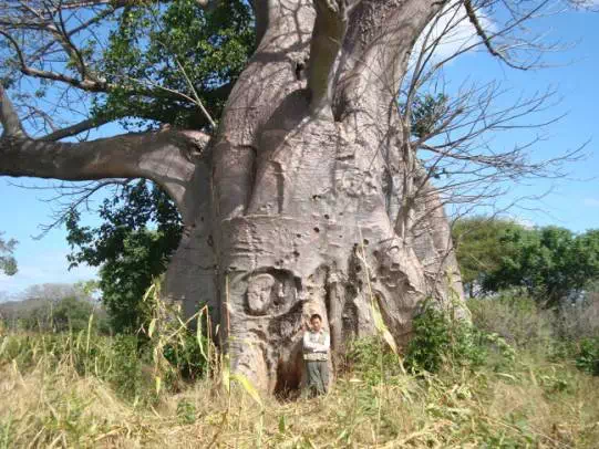 勘探队非洲求生记：中国公司海外找矿的艰辛惊险