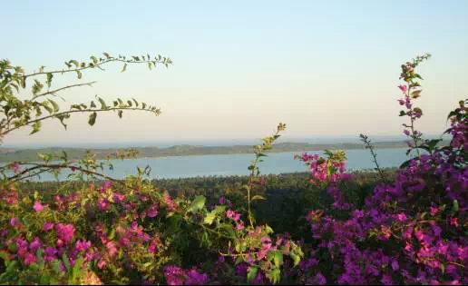 勘探队非洲求生记：中国公司海外找矿的艰辛惊险