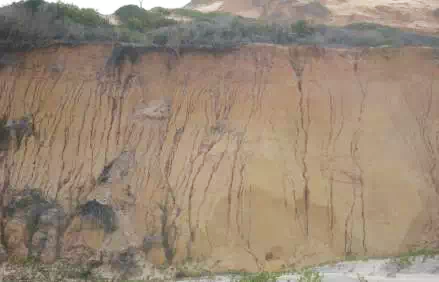 勘探队非洲求生记：中国公司海外找矿的艰辛惊险