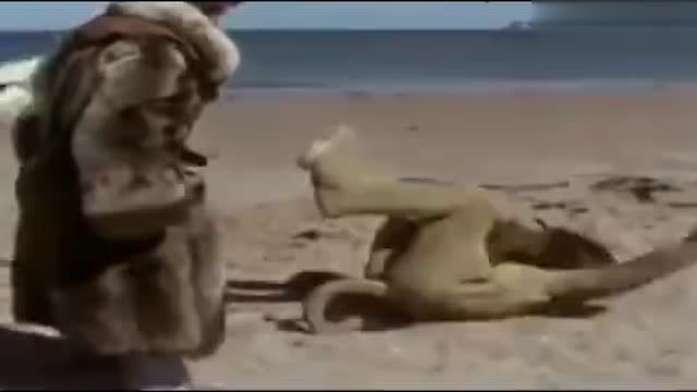 经典！这绝对是我看过最逼真的人兽大战_凤凰网视频_凤凰网