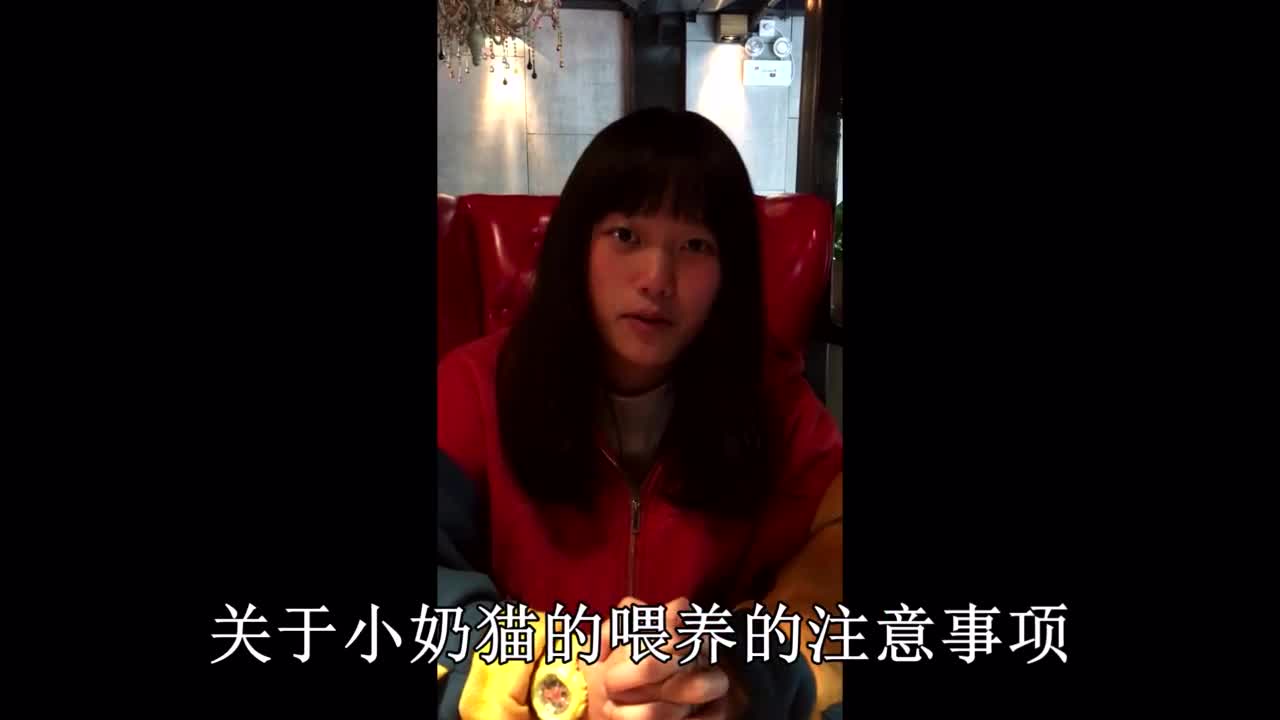 笑喷了!小猫吃奶吃错地方了
