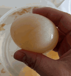 250_265 gif 动态图 动图