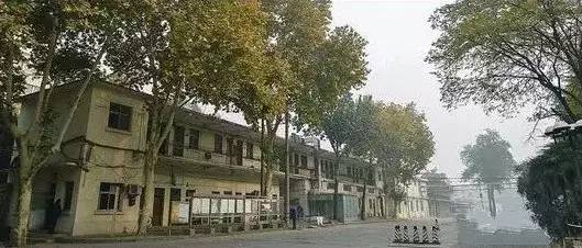 他一年能挣400多亿 却让老婆修汽车 给员工送榨菜