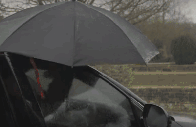 有了这把雨伞,家里的都可以丢了!