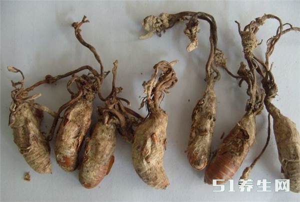 金蝉花的食用方法 金蝉花的食用方法