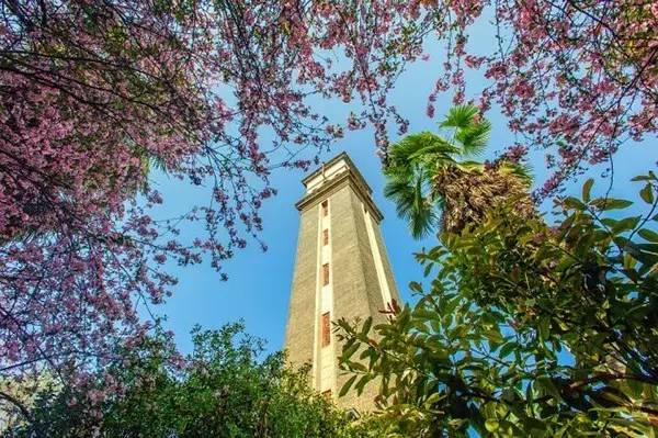 云南口碑很好却很难考的高中、大学,以后孩子