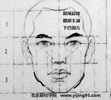 麻衣相法:骨骼瘦肖而肉薄多不顺