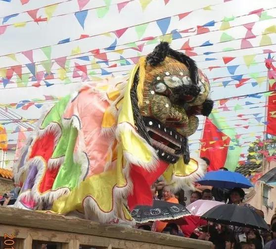 为何称为五福狮呢?这还得从表演角色说起。一般的麒麟狮,只有擎狮头和做狮尾两个人,表演起来场面略显单调。而五福狮的出场除了擎狮头外,还有一个扮演精绍和,一个扮演憨绍和以及两个扮演猴子,一共有五个角色。其表演多在春节期间,有五福临门之意。民间习俗认为是吉祥之狮 故称五福狮。