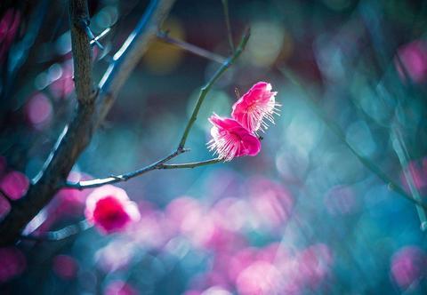 容易宠坏男友的生肖女