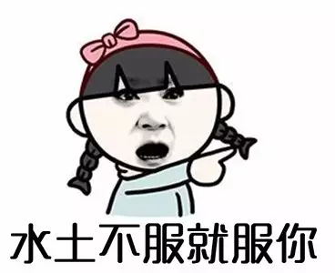 夸人的表情包分享展示