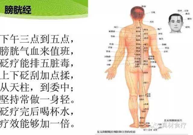 【十四经脉之11】子午流注之申时经络:足太阳膀胱经当令