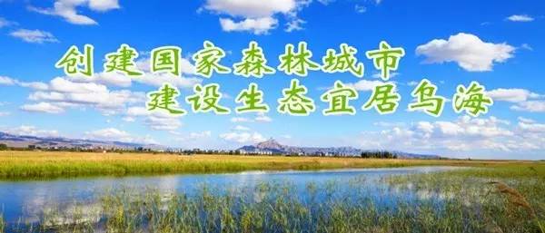 乌海4所高中招215名特长生高中史物理学图片