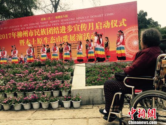 百余名中学生斗唱飙歌亮相广西柳州原生态山歌