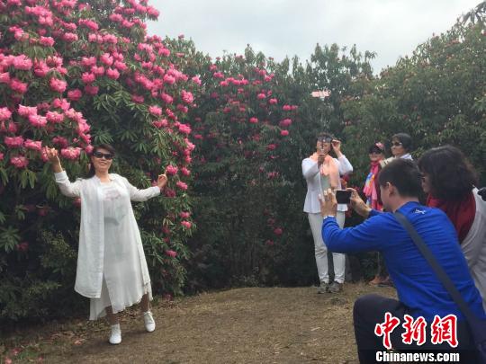 图为祭花神活动引游客合影留念。 杨光振 摄 图为祭花神活动引游客合影留念。 杨光振 摄