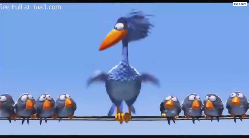 动画短片-鸟鸟鸟