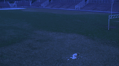 女孩们被禁止上学,她们被囚禁在家中.