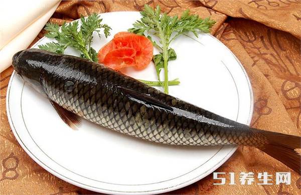 草鱼有哪些营养价值?草鱼火锅的做法和小诀窍