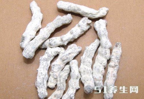 僵蚕的作用与功效