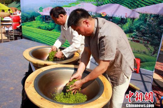 省级非物质文化遗产传承人展示绿茶制作技艺。　卢文伟 摄