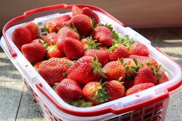 重庆一男子买的草莓变质诉超市 法院调解获赔偿