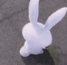 【表情包】《爱宠大机密》里宠物无处不在的各种萌与反差,简直萌化了