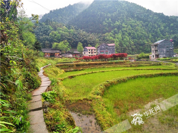 秀山人口有多少_等一个人陪你去秀山 看完这篇,马上就想去(3)