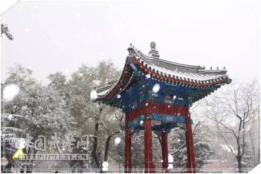 【光影拍客】用镜头记录心中的美