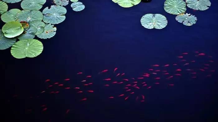 十大经典佛语,你能悟透多少?