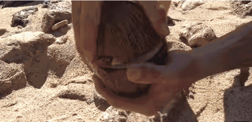 508_246 gif 动态图 动图