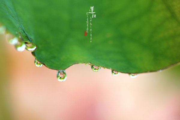 如何利用倒影拍大片:镜面反射还可以这样玩!