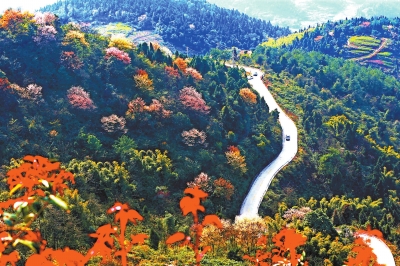 在今天的重庆渝北,也有一处欣赏樱花的胜地,那就是大盛镇天仙谷景区.