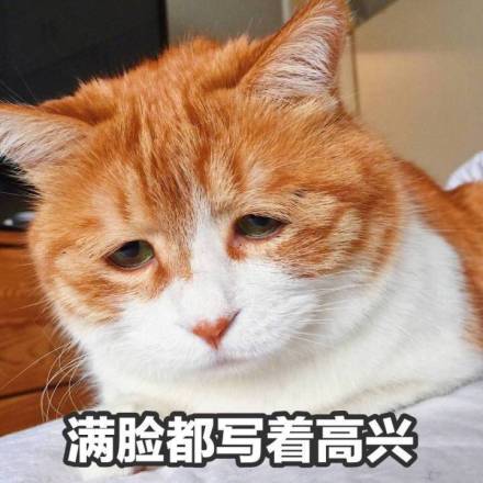 955d42b3gy1ff1pcjffwfj20k00k0dhy