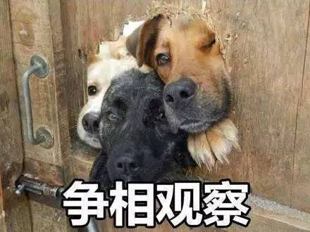 美联航被打医生_不告了!赔10亿?美联航与被暴打医生“迅速和解” 内幕曝光