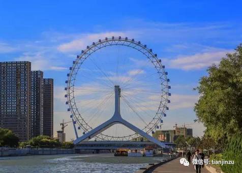 手绘版天津的桥火遍朋友圈!