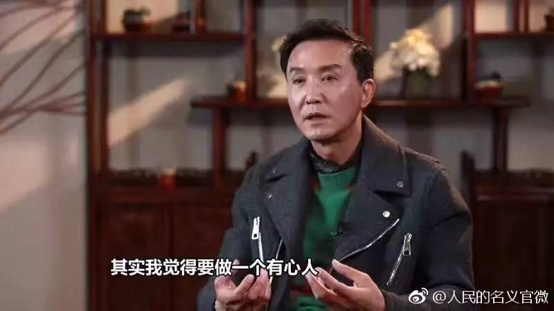 它的成功有老戏骨的功劳,看吴刚,张志坚,白志迪,侯勇等人表演,姐体会