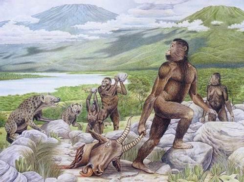 为什么古猿能进化成人，而现代的类人猿不会进化成人？