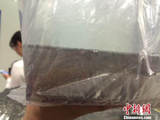 旅客携带数万尾活鱼苗坐飞机 重达200公斤 杭州机场被截留