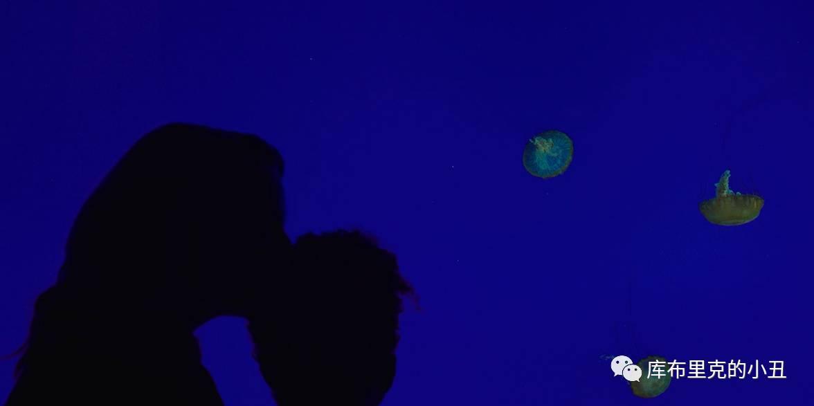 未来,女人沦为生娃工具的病态社会,太丧了